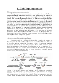 The Tryptophan Biosynthetic Pathway Trp Biosynthesis Is a Biologically Expensive, Complicated Process