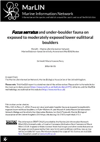 Download PDF Version