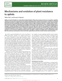 Mechanisms and Evolution of Plant Resistance to Aphids Tobias Züst† and Anurag A