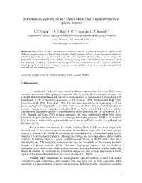 Metaplasticity and the Unified Calcium Plasticity Model Lead to Input