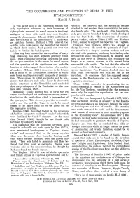 The Occurrence and Function of Oidia in the Hymenomycetes 1