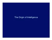 Color Vision More Complicated Information Processing, Tool Use Becomes Possible Origin of Anthropoids