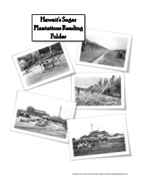 Hawaii's Sugar Plantations Reading Folder