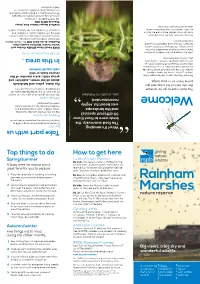 Rainham Marshes a Special Place for Nature