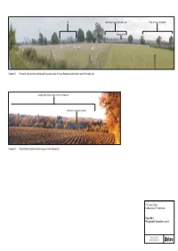 Supporting Information Cover