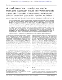 A Novel View of the Transcriptome Revealed from Gene Trapping In