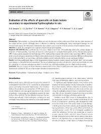 Evaluation of the Effects of Quercetin on Brain Lesions Secondary to Experimental Hydrocephalus in Rats