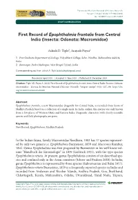 First Record of Epophthalmia Frontalis from Central India (Insecta: Odonata: Macromiidae)