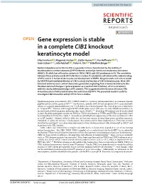 Gene Expression Is Stable in a Complete CIB1 Knockout