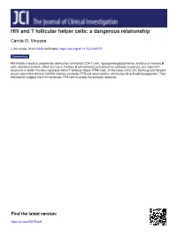 HIV and T Follicular Helper Cells: a Dangerous Relationship