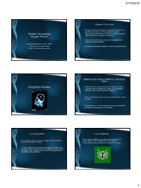Obstetrical Sonography Review
