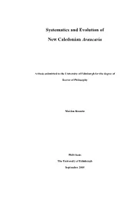 Systematics and Evolution of New Caledonian Araucaria