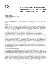 Endodermal Derivatives, Formation of the Gut and Its Subsequent Rotation
