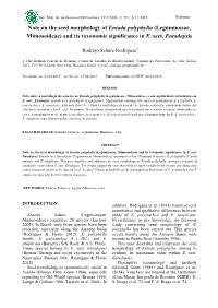 Note on the Seed Morphology of Entada Polyphylla (Leguminosae, Mimosoideae) and Its Taxonomic Significance in E