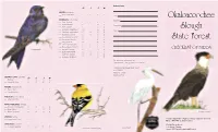 Okaloacoochee State Forest Checklist of Birds