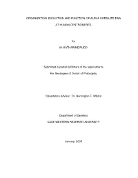 Organization, Evolution and Function of Alpha Satellite Dna