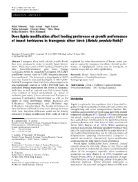 Does Lignin Modification Affect Feeding Preference Or Growth Performance of Insect Herbivores in Transgenic Silver Birch