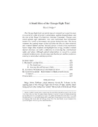 A Small Slice of the Chicago Eight Trial