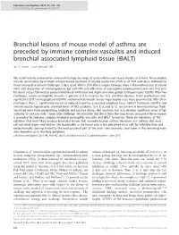 Bronchial Lesions of Mouse Model of Asthma Are Preceded by Immune