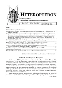 Heteropteron