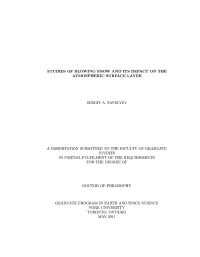 Studies of Blowing Snow and Its Impact on the Atmospheric Surface Layer
