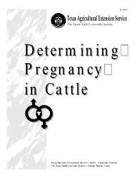 Determining Pregnancy in Cattle John R