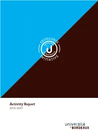 Activity Report 2016-2017