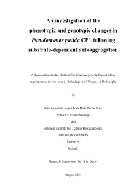 Phd Thesis Aida
