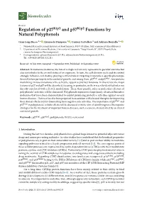 Regulation of P27kip1 and P57kip2 Functions by Natural Polyphenols