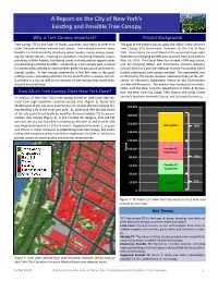 A Report on the City of New York's Existing and Possible Tree Canopy
