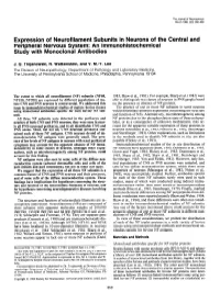 Expression of Neurofilament Subunits in Neurons of the Central and Peripheral Nervous System: an Lmmunohistochemical Study with Monoclonal Antibodies