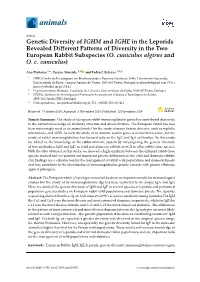 Genetic Diversity of IGHM and IGHE in the Leporids Revealed Different