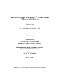 Molecular Dynamics of the Neuronal Ca -Binding Proteins