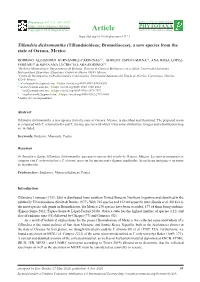 Tillandsia Dichromantha (Tillandsioideae; Bromeliaceae), a New Species from the State of Oaxaca, Mexico