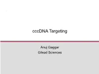 Cccdna Targeting