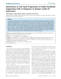 Restrictions in Cell Cycle Progression of Adult Vestibular Supporting Cells in Response to Ectopic Cyclin D1 Expression