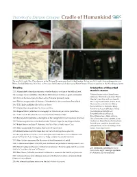Travels of a Darwin Groupie: Cradle of Humankind