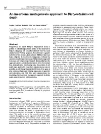 An Insertional Mutagenesis Approach to Dictyostelium Cell Death