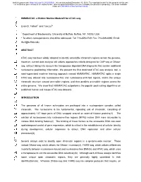 HMMRATAC: a Hidden Markov Modeler for ATAC-Seq