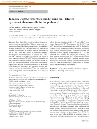 Japanese Papilio Butterflies Puddle Using Na Detected by Contact
