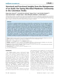 Structural and Functional Insights from the Metagenome of an Acidic Hot Spring Microbial Planktonic Community in the Colombian Andes