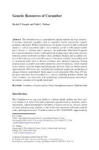 Genetic Resources of Cucumber