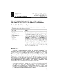 The Influence of Steam Cold Trap in the Vacuum Chamber Installation on the Ice Sublimation Speed1