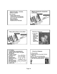 Andivers2'06h.O.Pdf