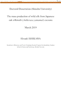 Doctoral Dissertation (Shinshu University) the Mass Production of Wild Silk from Japanese Oak Silkmoth (Antheraea Yamamai) Cocoo