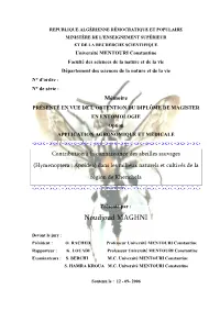 Page De Garde
