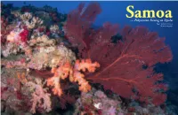 Samoa— Polynesian Diving in Upolu Text and Photos by Brandi Mueller