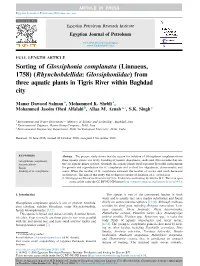 Sorting of Glossiphonia Complanata (Linnaeus, 1758) (Rhynchobdellida: Glossiphoniidae) from Three Aquatic Plants in Tigris River Within Baghdad City