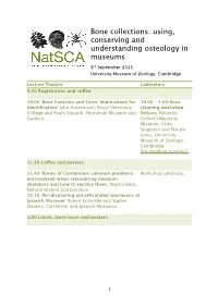 Bone Collections: Using, Conserving and Understanding Osteology in Museums