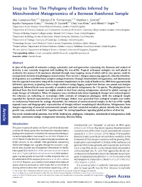 Article Soup to Tree: the Phylogeny of Beetles Inferred by Mitochondrial